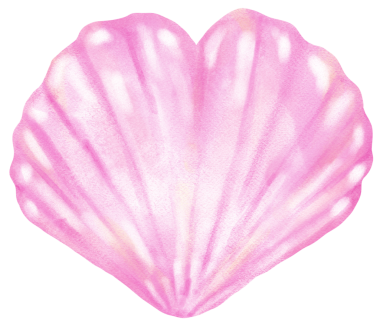 Pastel Pembe Deniz Kabuğu Kalp şekilli Suluboya Deniz Kabuğu