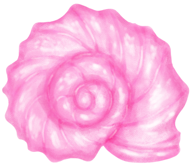 Pastel Pembe Kıvrık Deniz Kabuğu Suluboya Salyangoz Deniz Kabuğu