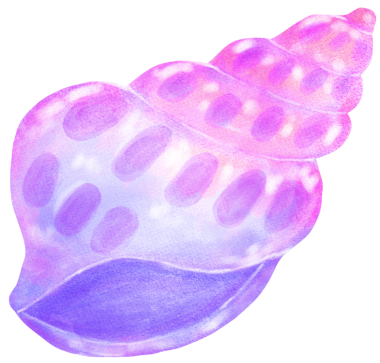 Pastel mor ve pembe gradyan deniz kabuğu suluboya deniz kabuğu