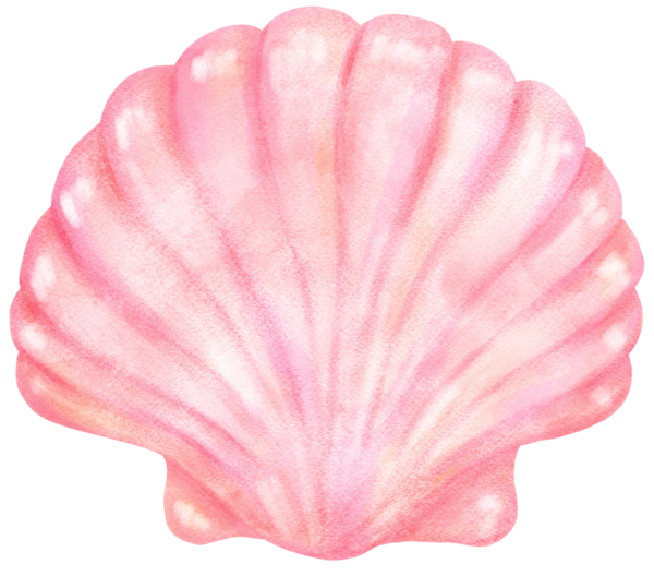 Pastel Allık Pembe Deniz Kabuğu Suluboya Deniz Kabuğu