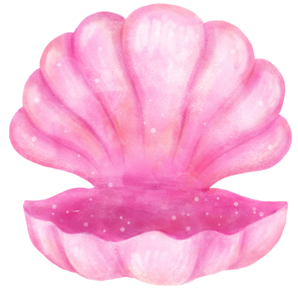 Pastel Pembe Açık Deniz Kabuğu Suluboya Deniz Kabuğu