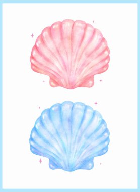 Pastel Deniz Kabuğu Mavisi ve Pembe Suluboya Deniz Kabuğu Gradyanı