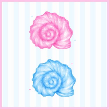 Pastel Kıvırcık Deniz Kabuğu Mavi ve Pembe Suluboya Deniz Kabuğu