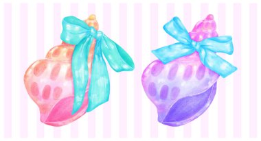 Coquette Summer Pastel Deniz Kabuğu ve Kurdele Yayı Suluboya seti