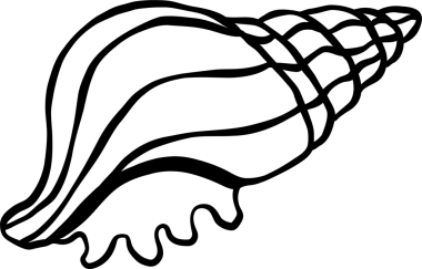 Deniz kabuğu kabuğu çizimi, balıkçı estetiği.