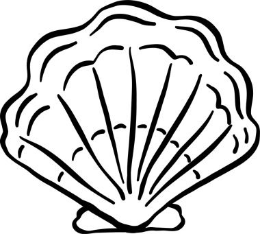 Deniz kabuğu karalama taslağı, balıkçı estetiği.