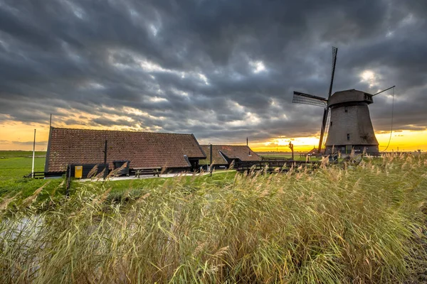 北オランダのSchermerhorn近くの古い農業風景歴史的な水管理ポンプ場の伝統的な木製の風車 オランダ — ストック写真