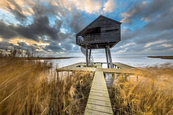 塩水湿地を通る木製の歩道は オランダのフローニンゲン州のNatura 2000エリアDollardに隠された展望台につながります ヨーロッパの自然の中で風の強い条件で風景シーン — ストック写真