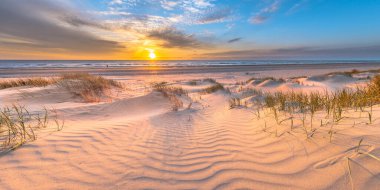 Beach and dunes Dutch coastline landscape seen from Wijk aan Zee over the North Sea at sunset, Netherlands clipart