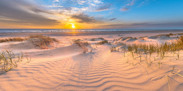 Beach and dunes Dutch coastline landscape seen from Wijk aan Zee over the North Sea at sunset, Netherlands