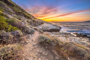 Cap Corse, Corsica, Fransa 'nın kayalık kıyı şeridinde kıyı bitki örtüsü boyunca uzanan patika