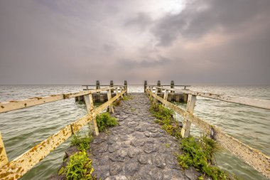 Hollanda 'nın IJsselmeer kıyı şeridinde, bulutlu havada yosun ve bitki örtüsüyle iskele. Avrupa 'nın doğasında manzara manzarası.