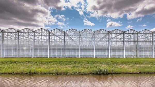 Eksterior Industri Greenhouse Belanda Industri Pangan Pertanian Dengan Bangunan Raksasa — Stok Foto