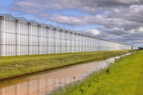 荷兰的温室工业外部 具有巨大建筑物的食品工业 — 图库照片