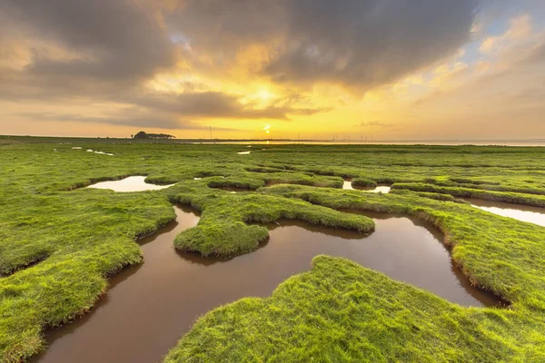 Land reclamation in the tidal marsh mud flats of the Punt van Reide in the Wadden sea area on the Groningen coast in the Netherlands
