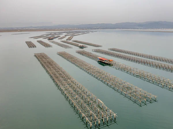 İstiridye çiftliği Ebro Delta. İspanya 'nın Ebro Delta bölgesindeki midye ve istiridye su üretim tesisleri.