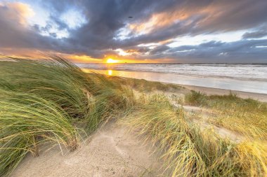 Kum manzarası bulutlu sonbahar gökyüzünün altında. Batan güneşin üzerinde kara bulutlar esiyor. Wijk aan Zee, Kuzey Hollanda. Hollanda 'da. Avrupa 'nın deniz manzarası.