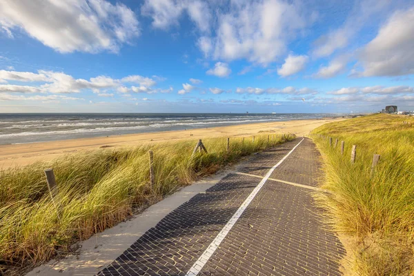 Paved Trail Dune Landscape Entrance Beach North Sea Wijk Aan — Stock Photo, Image