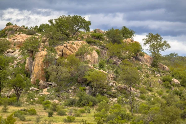 南非克鲁格国家公园Afsaal地区的Rhyolitic Rock Outcrop或Koppie — 图库照片