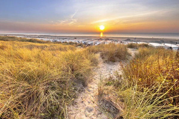 Ścieżka Przez Krajobraz Wydmy Wybrzeżu Morza Północnego Wijk Aan Zee — Zdjęcie stockowe