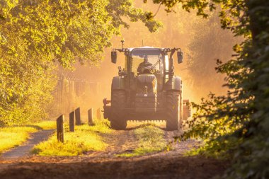 Altın gün doğumu sisli ışıkta traktör. Sabahleyin toprak yolda tarım aracı var. Hollanda 'yı ıslatın.