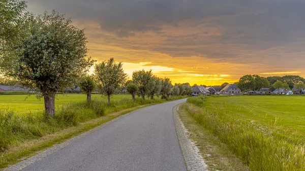 遠くにポラード柳と古い農場とオランダの村の風景 ヨーロッパの自然風景 Weerribben Overijssel オランダ — ストック写真