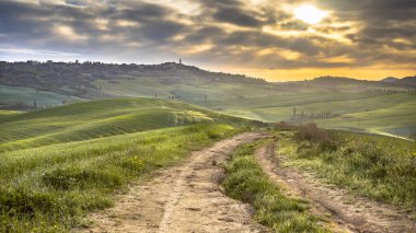 Val d 'Orcia Tuscany, İtalya' nın sarp tepelerindeki ağaçların oluşturduğu sakin bir arazide toprak izi..