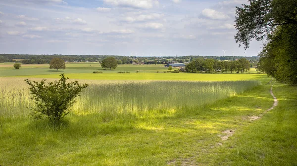 Agricultural Landscape Seen Bergherbos Nature Reserve — Stock Photo, Image
