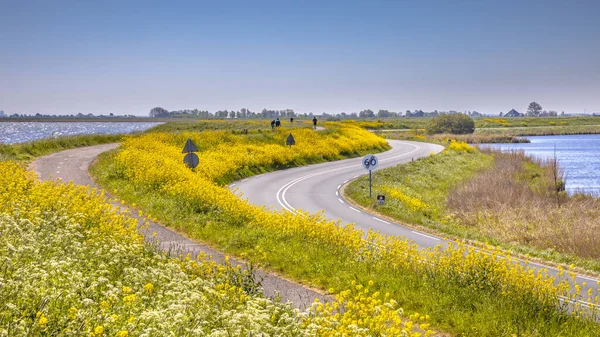 Ścieżka Rowerowa Rowerzystą Grobli Dużą Ilością Żółtych Kwiatów Pobliżu Miejscowości — Zdjęcie stockowe