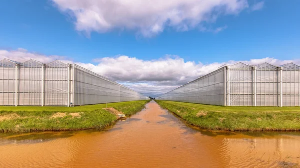 Greenhouse Industrial Exterior Netherlands Food Farming Industry Giant Buildings — Zdjęcie stockowe