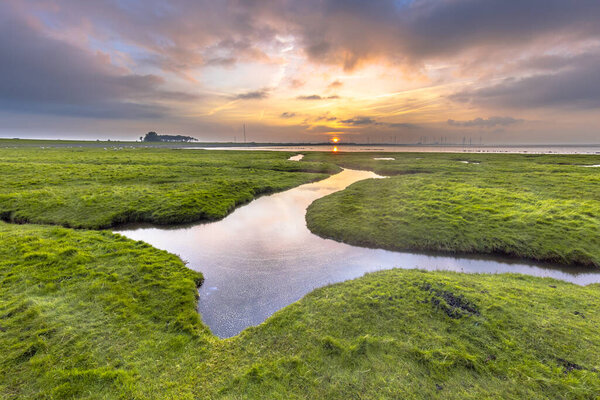 Восстановление земельного участка в приливных болотных грязевых равнинах Пунт ван Рейде в Ваттовом море на побережье Гронингена в Нидерландах
