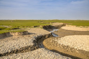 Hollanda 'nın Friesland kentindeki Ameland Adası' nda doğal akıntı sistemine sahip gelgit bataklığı.