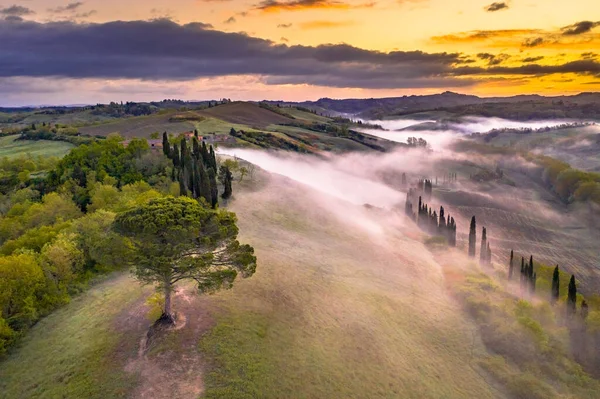 トスカーナでの日の出 イタリア 4月の丘 ヒノキや朝の霧と夢のような風景 ロイヤリティフリーのストック画像