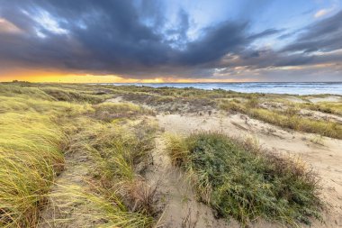 Kum manzarası bulutlu sonbahar gökyüzünün altında. Batan güneşin üzerinde kara bulutlar esiyor. Wijk aan Zee, Kuzey Hollanda. Hollanda 'da. Avrupa 'nın deniz manzarası.