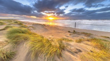 Kum manzarası bulutlu sonbahar gökyüzünün altında. Batan güneşin üzerinde kara bulutlar esiyor. Wijk aan Zee, Kuzey Hollanda. Hollanda 'da. Avrupa 'nın deniz manzarası.