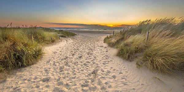 Landscape view of sand dune on the North sea coast at sunset near Wijk aan Zee, Noord Holland Province, the Netherlands. Landscape scene of european nature.