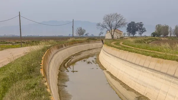 stock image Dry irrigation channel in Ebro delta. Drought causig water shortage as a result of global warming. Spain