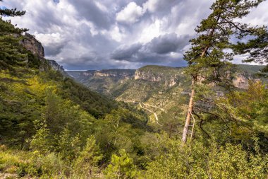 Cevennes Occitanie Fransa 'daki Tarn yeşil nehir vadisine bakın