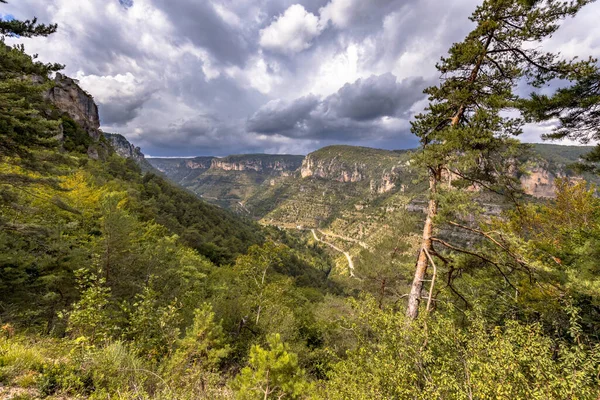 Cevennes Occitanie Fransa 'daki Tarn yeşil nehir vadisine bakın