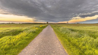 Hollanda 'da dramatik gökyüzü altında çiçek açan Polder manzarası. Ufuk çizgisine doğru koşuyor. Avrupa 'daki doğa manzarası.