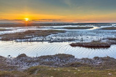 Wadden Denizi kıyısındaki tuzlu bataklık düzlüklerinin üzerindeki hava manzarası. Uithuizen, Groningen Eyaleti.