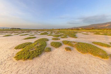 Sunrise over salt marsh estuary vegetation near Skala Kallonis on Lesbos island, Greece. Landscape scene of nature in Europe. clipart