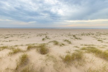 Sunset 'teki Hollanda Kuzey Sahili' ndeki Kıyı Kumulu Manzarası 'na bir göz atın. Avrupa 'da Doğa Manzarası.