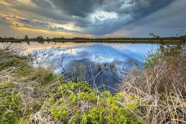 Hollanda, Giethoorn yakınlarındaki Weerribben Ulusal Parkı 'ndaki su suyuna yansıyan kamış çimleriyle birlikte pastel renkli günbatımına sahip sulak arazi