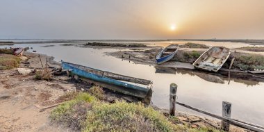 Ebro Delta 'daki doğal limandaki balıkçı tekneleri enkazı. Akdeniz 'de ekonomik balıkçılık krizi. Badia del Fangar, Katalonya, İspanya. Avrupa 'daki doğa manzarası.