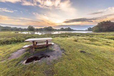 Hollanda 'nın Drenthe eyaletindeki Dwingelderveld Ulusal Parkı' nın Fen kentinde Picknick bank. Avrupa 'da Doğa Manzarası.