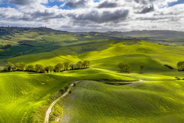 Val d 'Orcia Tuscany, İtalya' nın kayan tepelerindeki ağaç gruplarıyla sakin bir manzara..