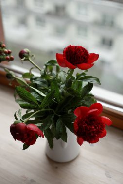 Beyaz vazodaki parlak pembe şakayıklar pencerenin karşısındaki tahta pencere pervazında dururlar. Pencerenin yanında bir buket çiçek..