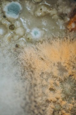 Küfün makro fotoğrafı. Çorbanın üstüne kalıp dök. ışık soyutlaması