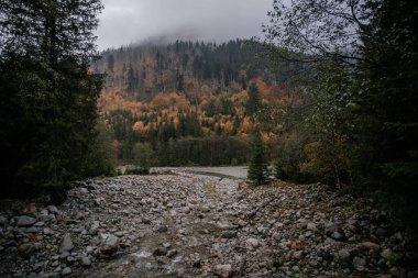 Polonya 'da dağlarda yürüyüş, Zakopane. Dağların ve sonbahar ormanlarının dağ gölü Morskie Oko 'ya giden güzel manzarası. Zakopane çevresindeki Yüksek Tatras Ulusal Parkı